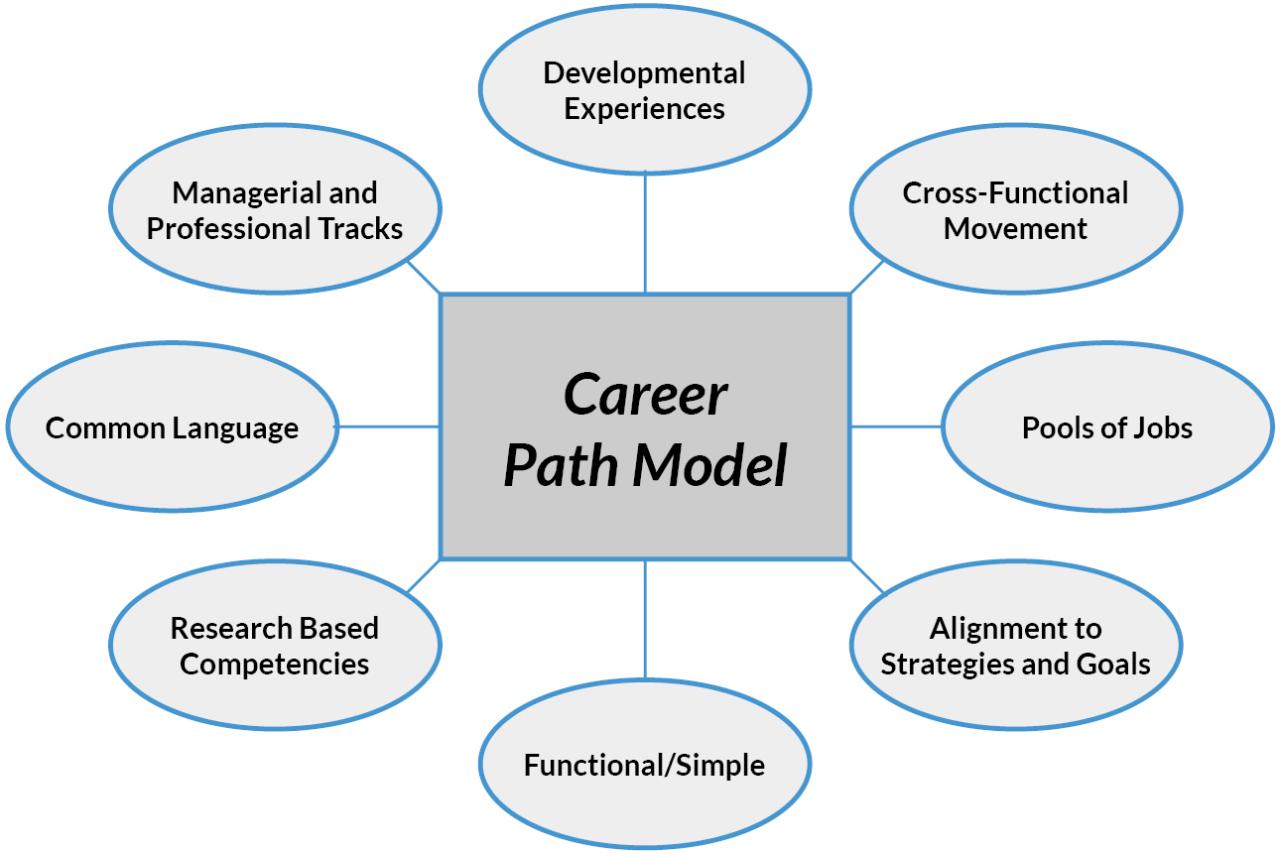 Choosing the right IT courses based on career goals